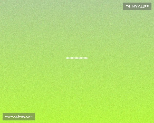 《闪光吧少女：万鹏的电竞冒险日记》